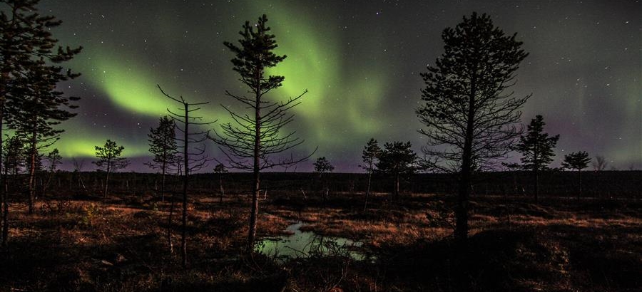 Aurora Autunnale a Inari