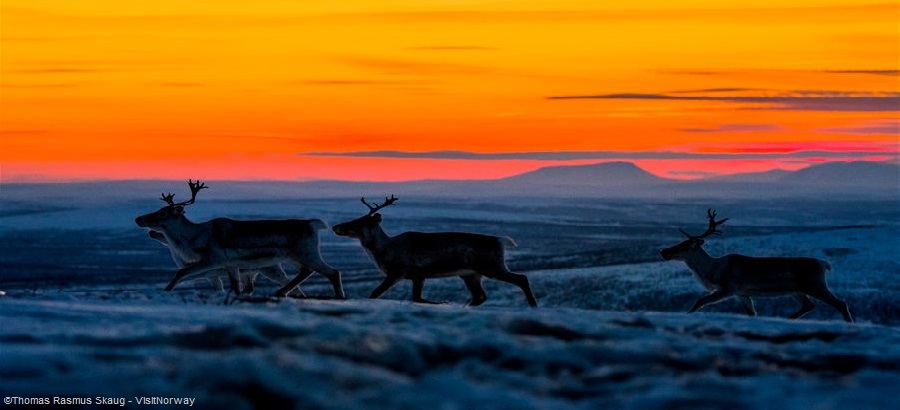 Speciale Gran Tour 3 Lapponie - Volo In