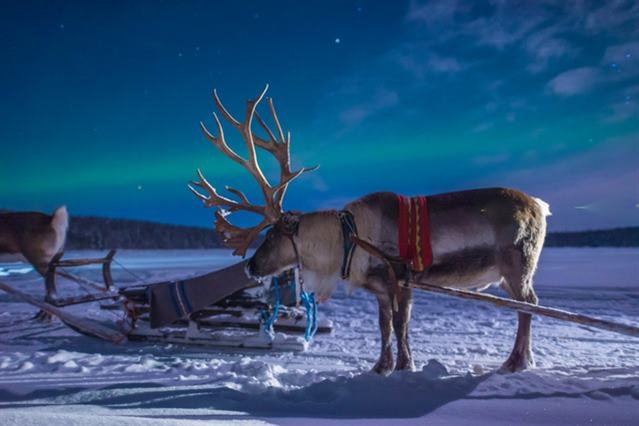 Taste of Arctic Lapland a Muonio