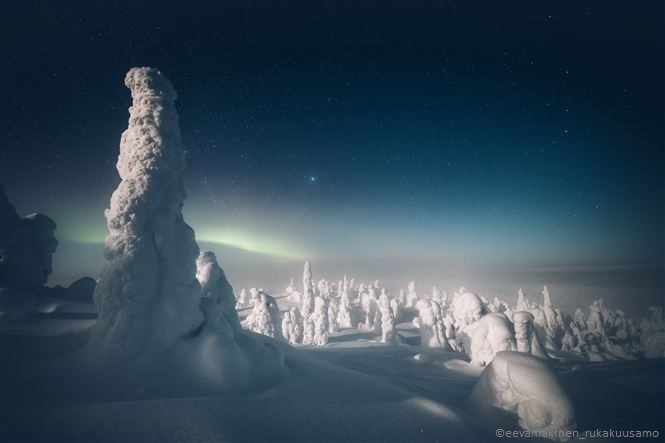 Kuusamo & House of Northern Senses