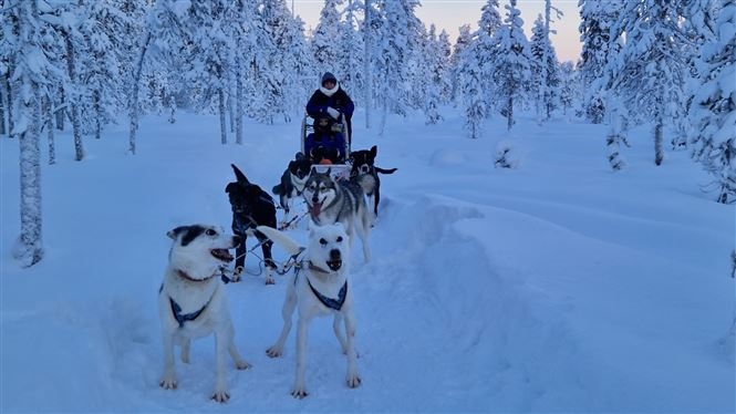 Inari Aurora e mondo Sami