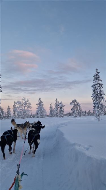 Inari Winter Break