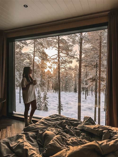 Rovaniemi - Invisible forest lodge