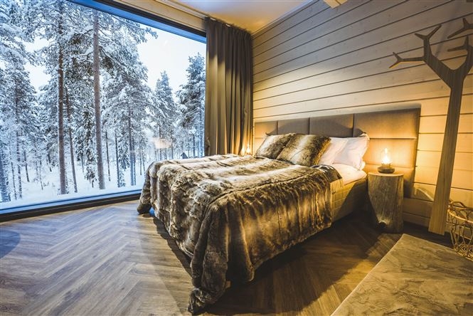 Rovaniemi - Invisible forest lodge