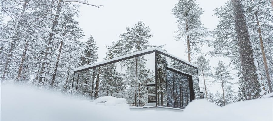 Rovaniemi - Invisible forest lodge
