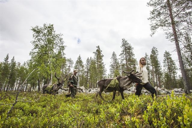 Glamping & Aurore Autunnali a Muonio