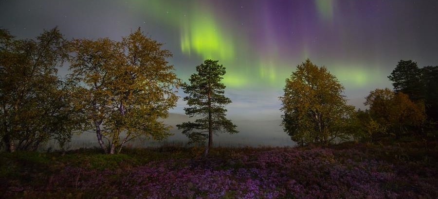 Prime Aurore a Saariselka