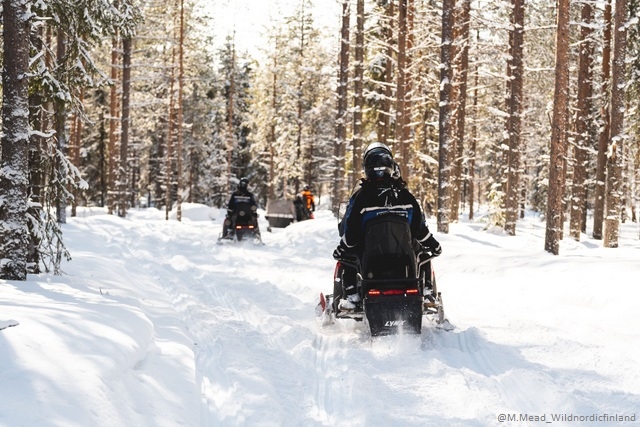 Epifania Lapland OUNASVAARA- volo incluso