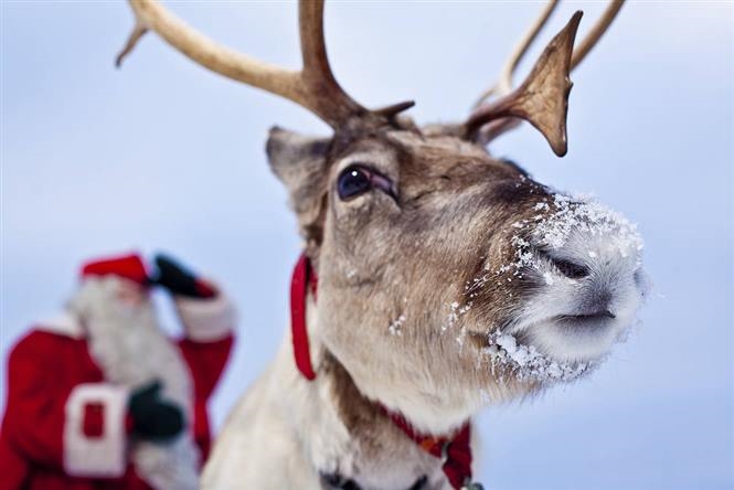 Epifania a Rovaniemi - volo incluso