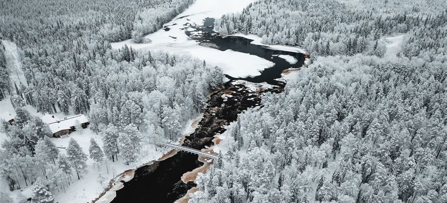 Pasqua WIlderness a Rovaniemi  - volo incluso