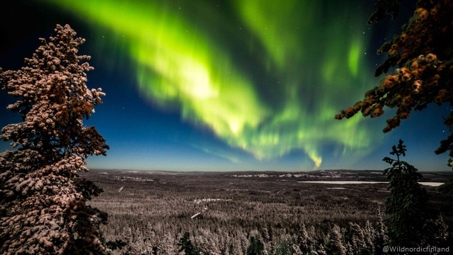 Rovaniemi in festa Arctic Circle - volo incluso