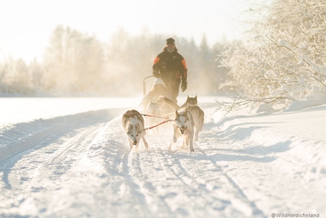 Rovaniemi in festa Arctic Circle - volo incluso