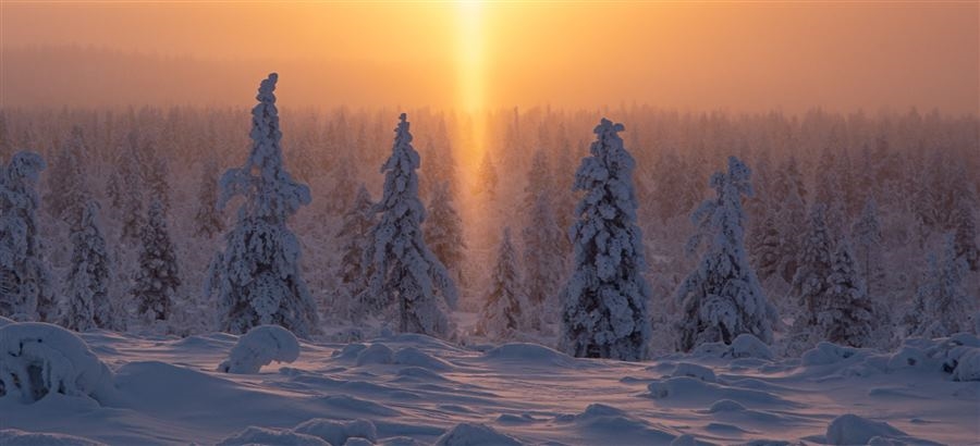 Magia invernale a Saariselka - Volo Incluso