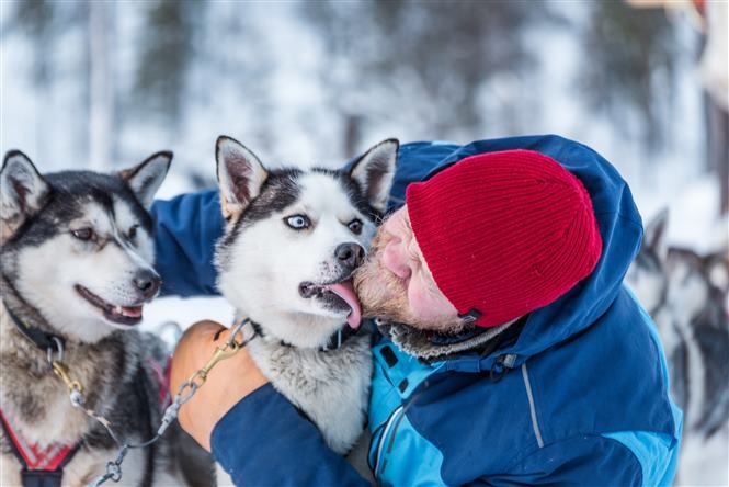 Discover Lapland Experience