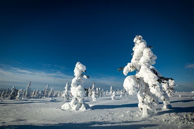 Magia invernale a Saariselka - Volo Incluso