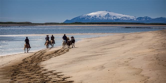 Islanda completa in Camper