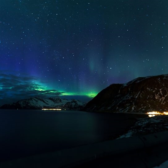 Tromsø, whale safari e minicrociera