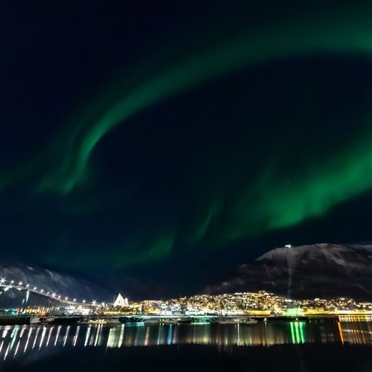 Tromsø, whale safari e minicrociera