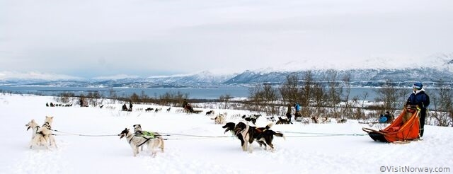 Tromsø & Sommarøy Island - Partenze Garantite