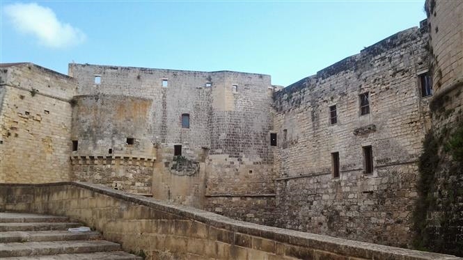 Olio Experience in Salento