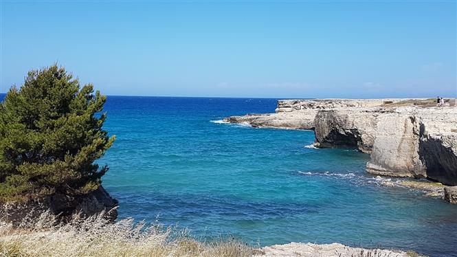Olio Experience in Salento