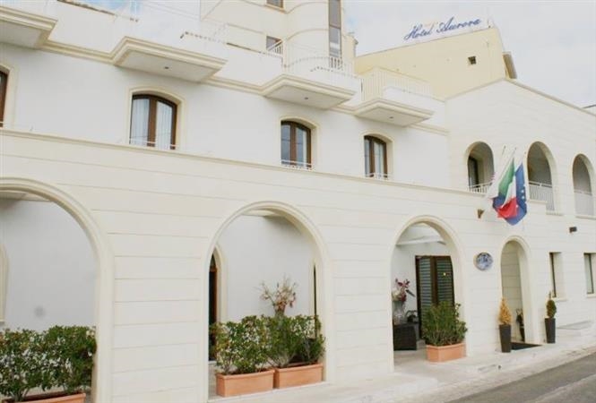 Olio Experience in Salento