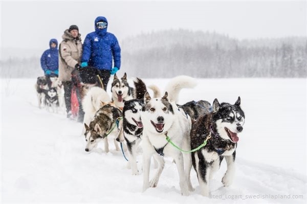 Lulea, avventura al BRÄNDÖN LODGE