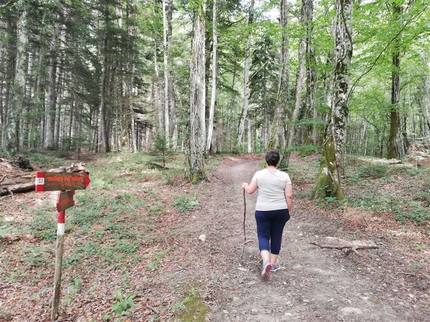 L'Alto Molise tra arte, natura e tradizioni