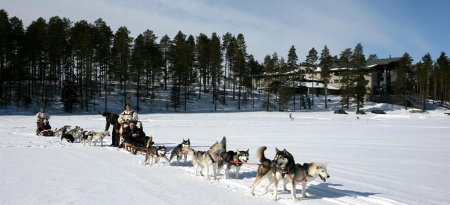Inverno nella Wild Taiga a Kuhmo
