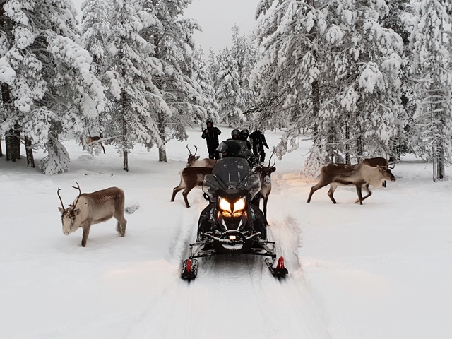 Break invernale a Rovaniemi