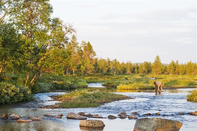 Colori d’autunno a Rovaniemi