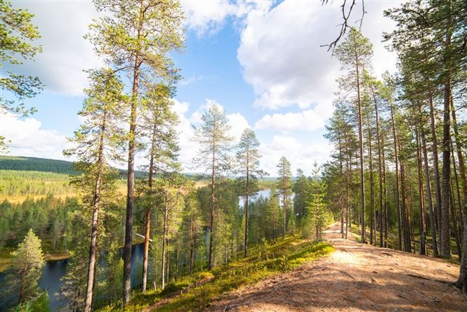 Felicità finlandese tour