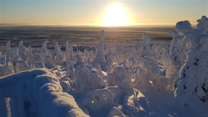 Inverno Lappone a Ruka