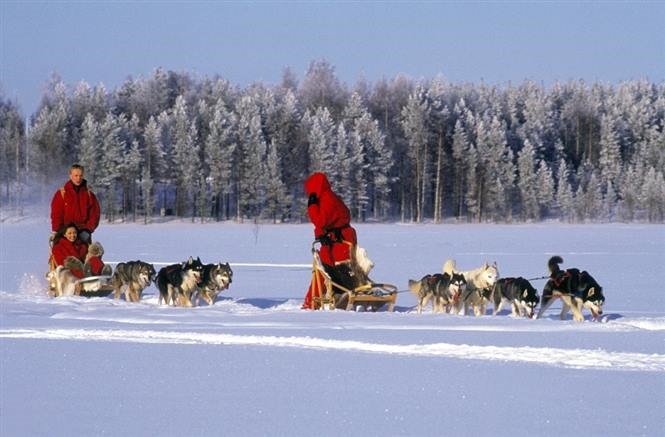 Inverno nella Wild Taiga a Kuhmo