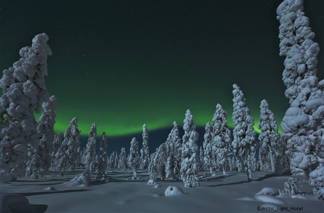 Magia invernale al Arctic Tree House Rovaniemi