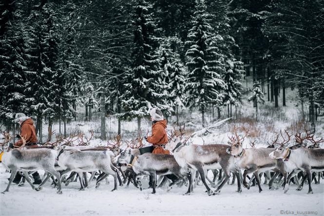 Capodanno a Kuusamo - volo incluso