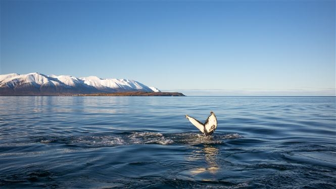 Reykjavik City Break