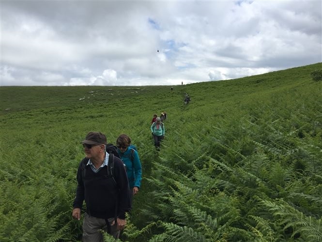 TRATTURI A TRATTI – Trekking &  Fuoristrada