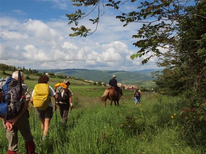 Trekking Tour on Foot in the Matese