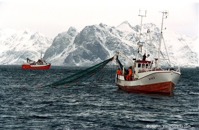 Capodanno alle Lofoten - Partenza garantita