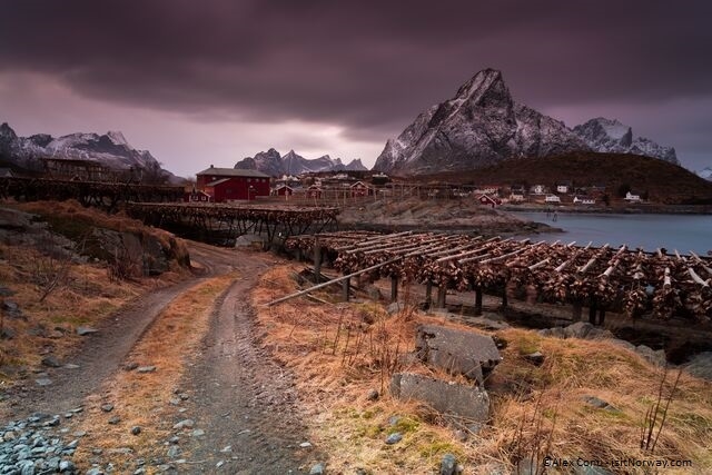 Avventura invernale alle Lofoten