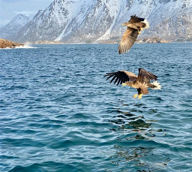 Avventura invernale alle Lofoten