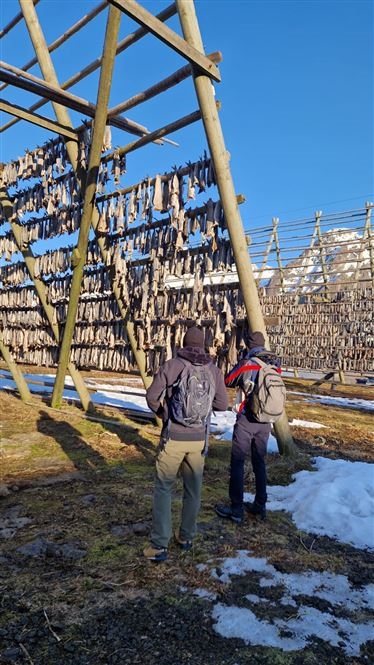 Avventura invernale alle Lofoten