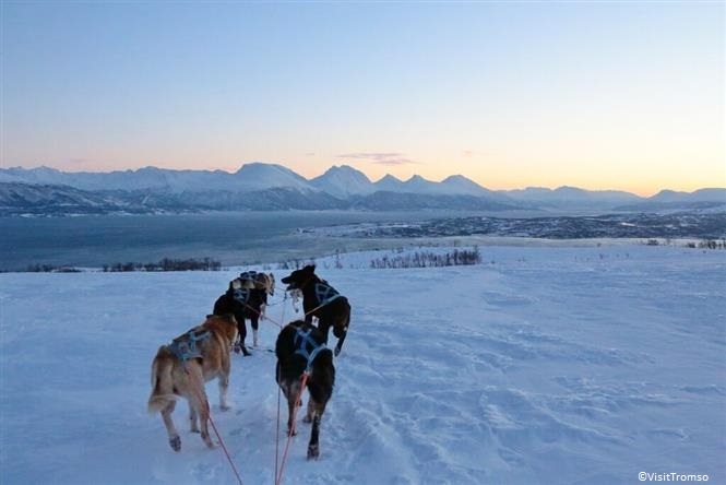 Capodanno a Tromsø - volo incluso