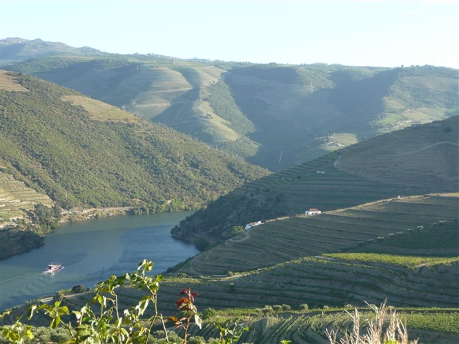 Porto e la Valle del Douro