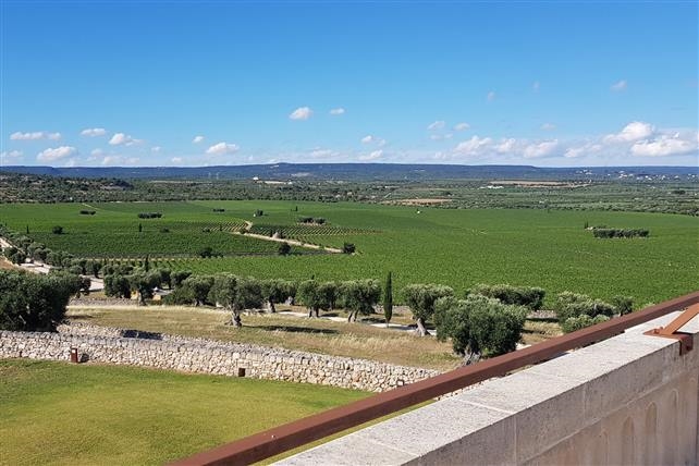 Puglia d'Incanto Self Drive