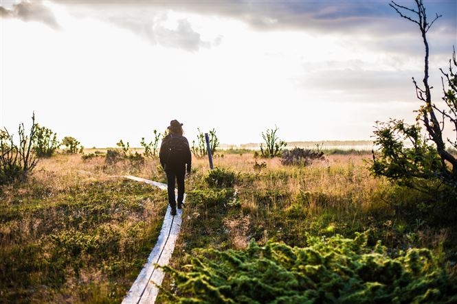 BENESSERE E NATURA LAPPONE SVEDESE