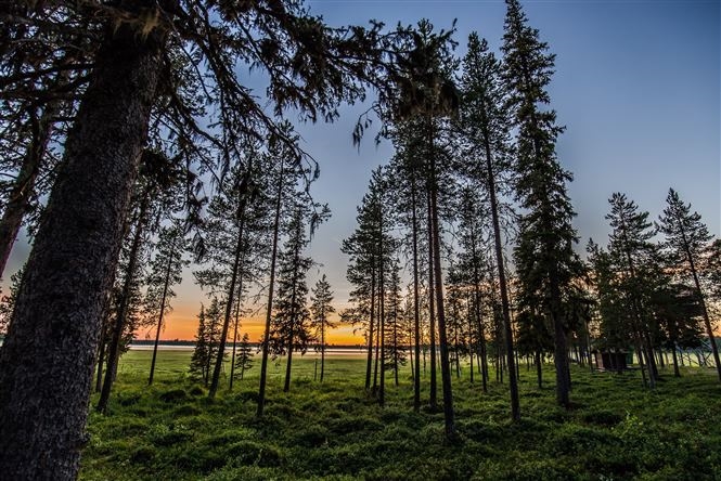 BENESSERE E NATURA LAPPONE SVEDESE